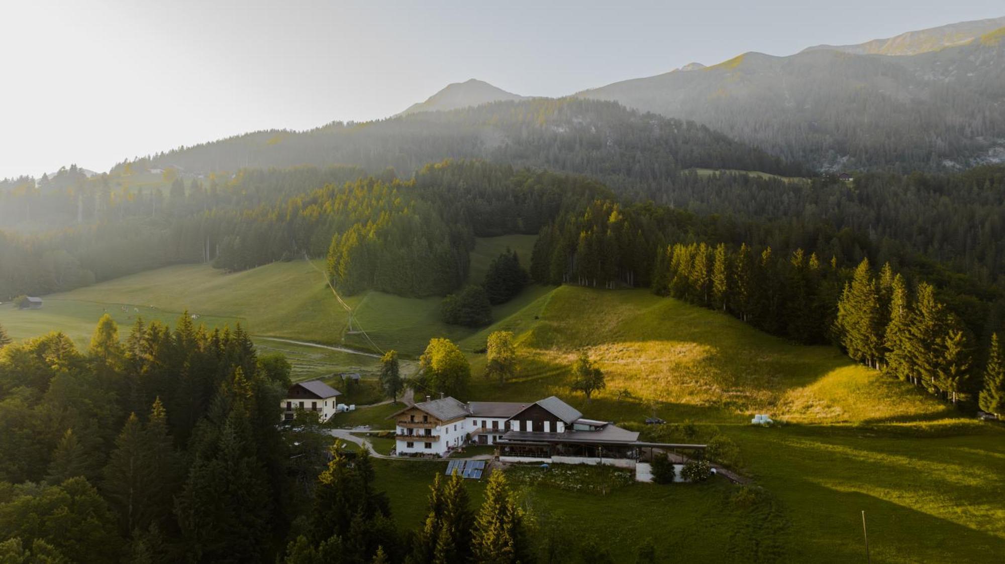 Apartamento Bio-Bergbauernhof Weger Dellach  Exterior foto