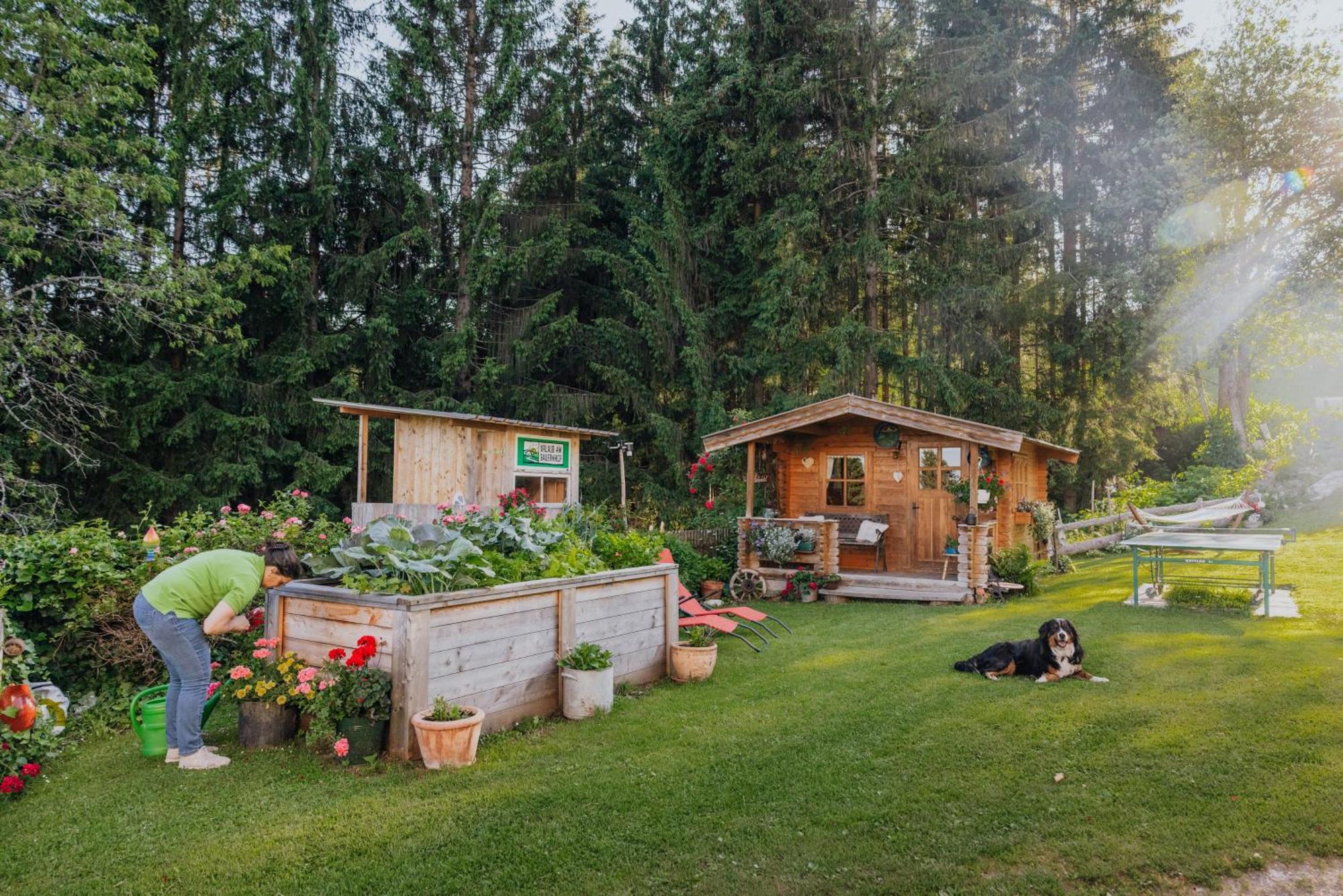 Apartamento Bio-Bergbauernhof Weger Dellach  Exterior foto